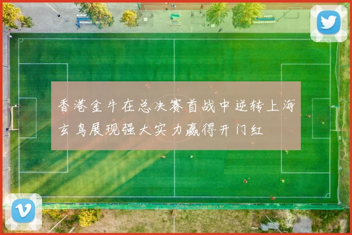 香港金牛在总决赛首战中逆转上海玄鸟展现强大实力赢得开门红