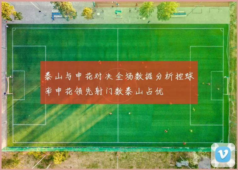泰山与申花对决全场数据分析控球率申花领先射门数泰山占优