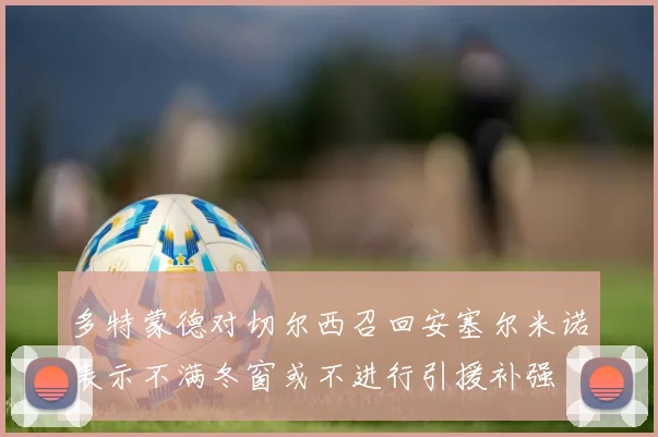 多特蒙德对切尔西召回安塞尔米诺表示不满冬窗或不进行引援补强