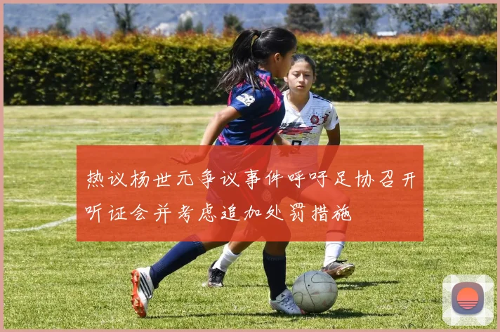 热议杨世元争议事件呼吁足协召开听证会并考虑追加处罚措施