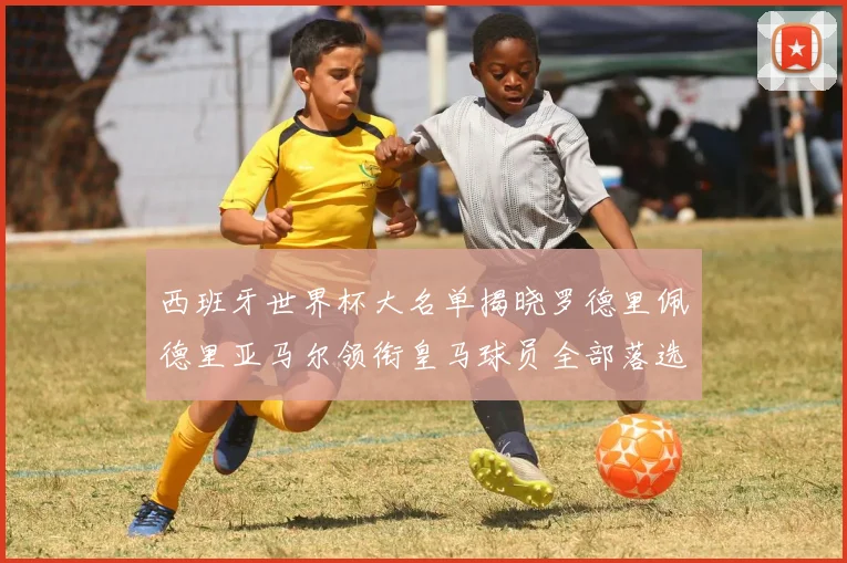 西班牙世界杯大名单揭晓罗德里佩德里亚马尔领衔皇马球员全部落选